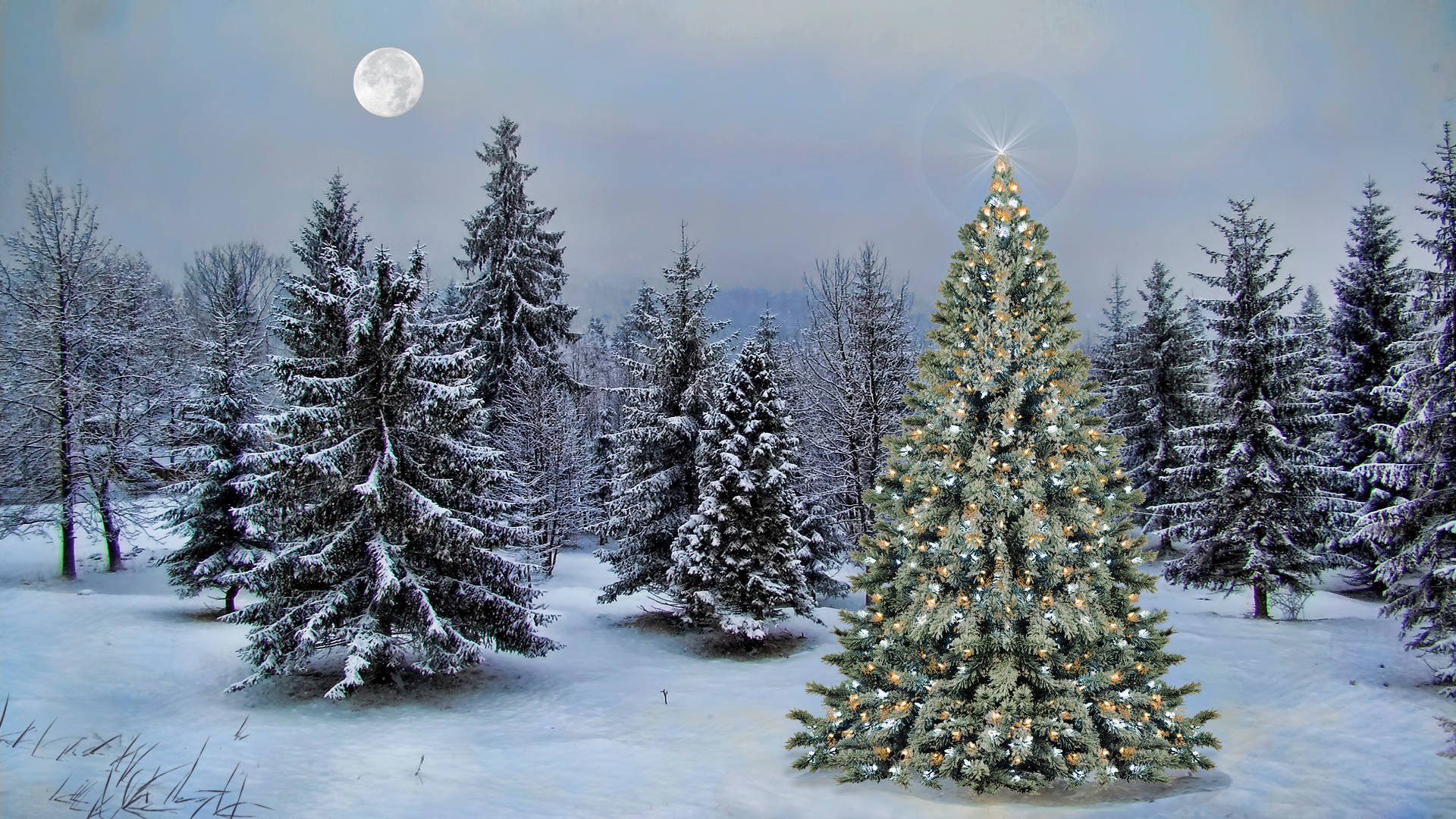 Vinter Juletræ Under Månen Wallpaper
