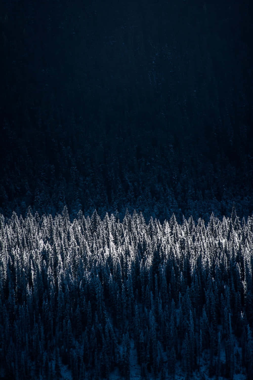 Vinteriphone-bakgrund.