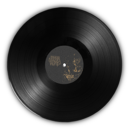 Vinyl_ Record_ Womb_ Label PNG