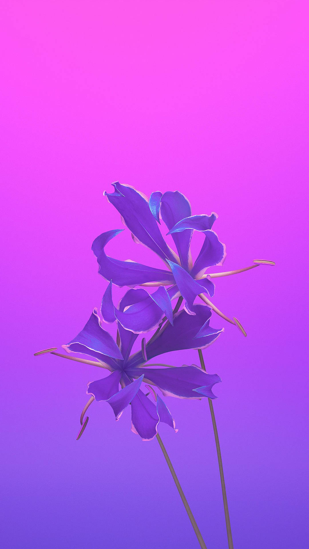 Violet Aesthetic Flower Apple Wallpaper
