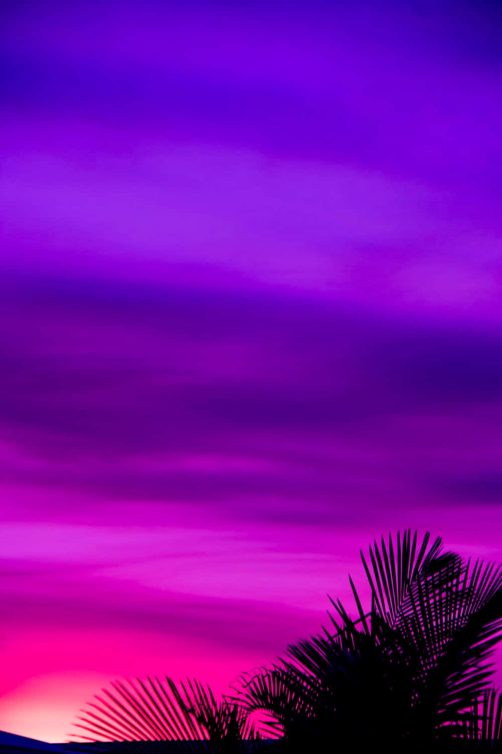 Aesthetic dreams come true in beautiful violet hues