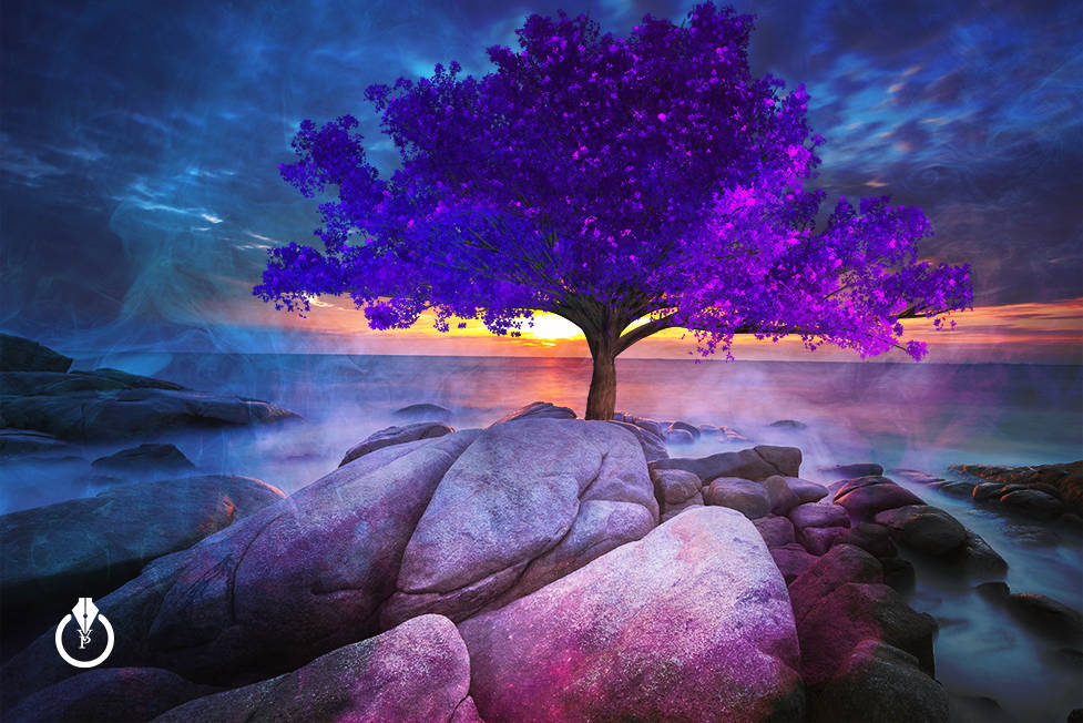 Violet Tree Adobe Photoshop Wallpaper