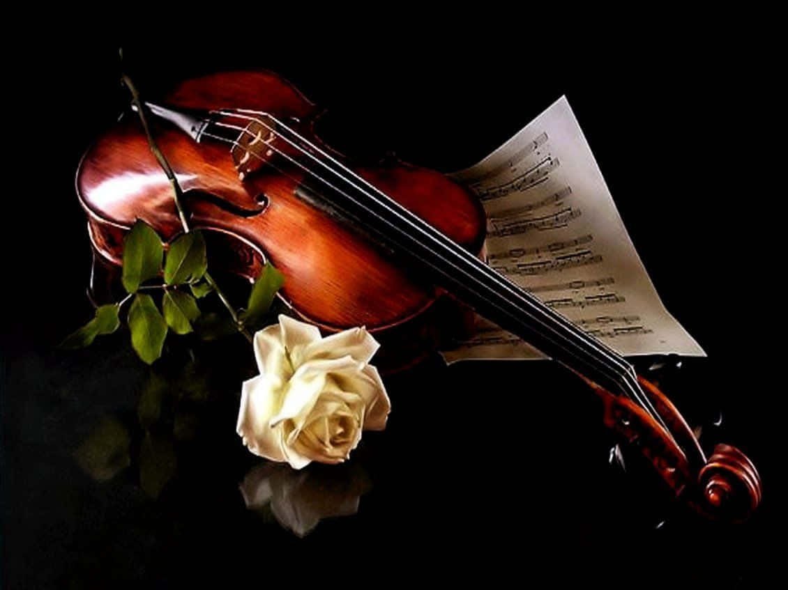 Træ Chordophone Fiolin Instrument Og Hvide Roseblade Tapet Wallpaper