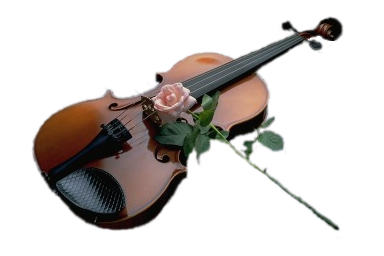 Violin_and_ Rose_ Elegance.jpg PNG