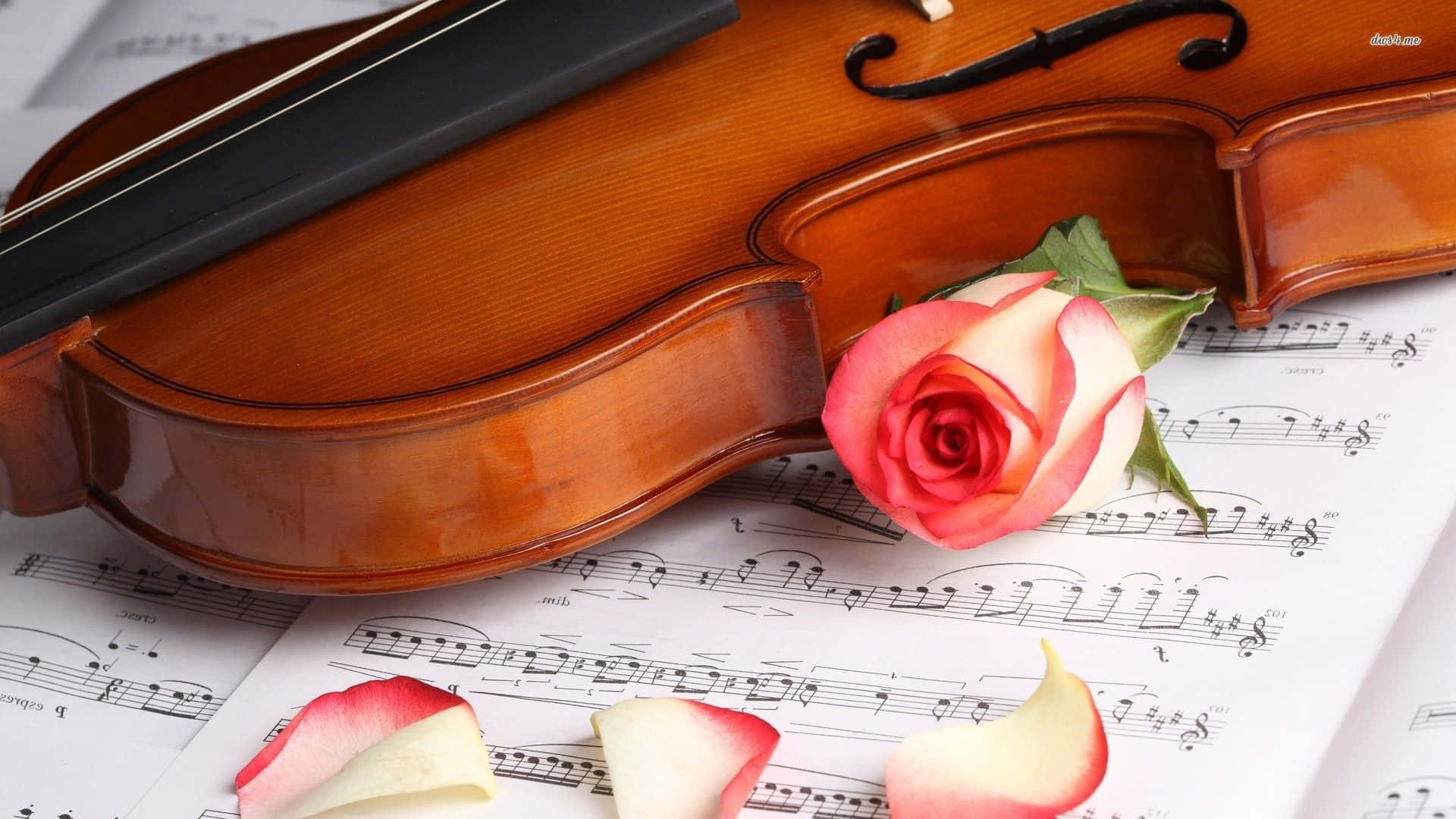 Oprette musikalsk kunst med en smuk viol. Wallpaper