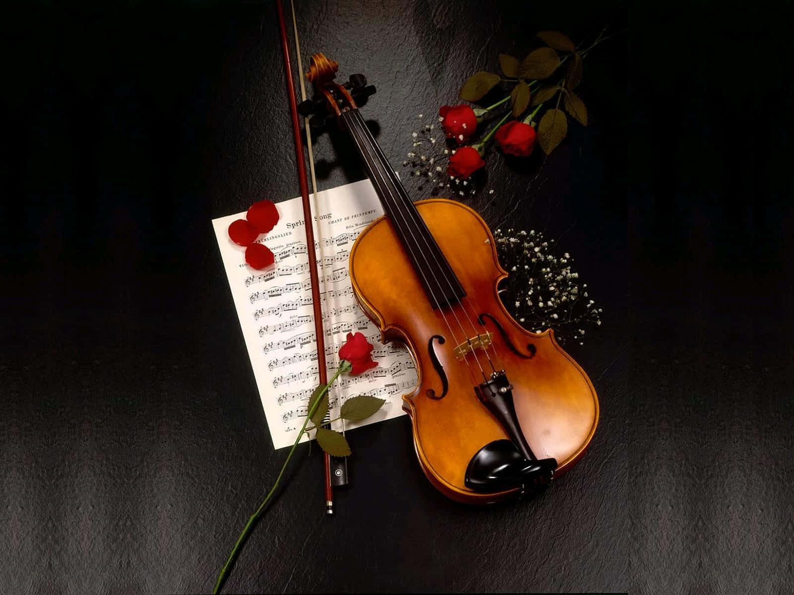 Instrumentode Violín De Madera Con Rosas Y Pétalos. Fondo de pantalla