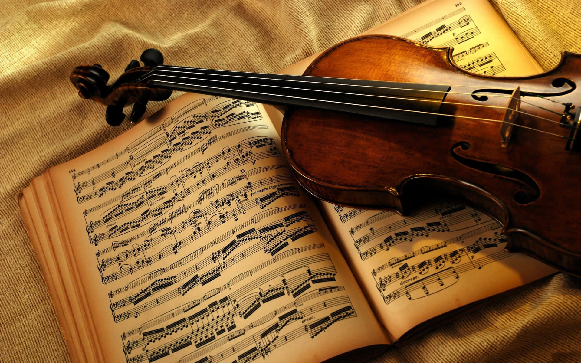 A Violin Enveloped By Nature Wallpaper
