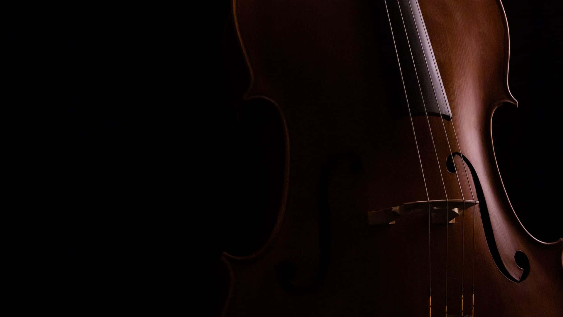Violin Wallpapers HD Violin Backgrounds Free Images Download