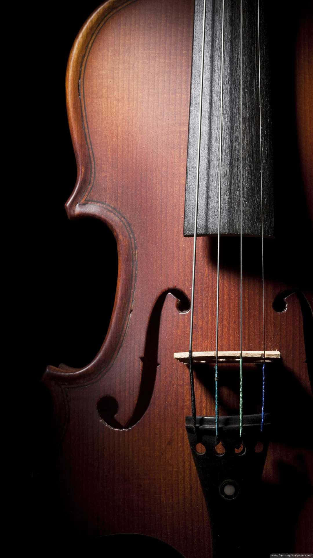 Wooden Violin In Dark Picture
