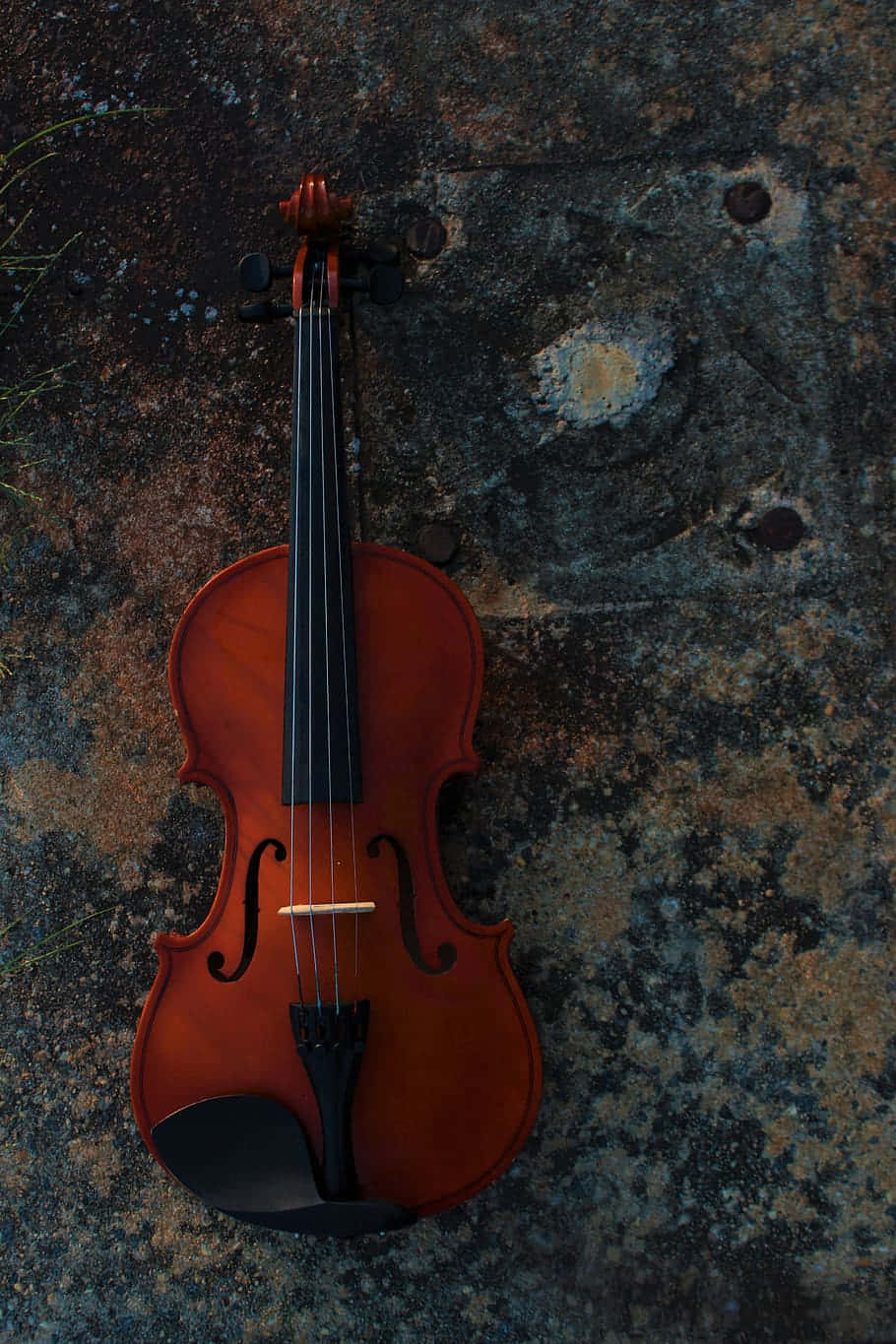 Immaginedi Un Violino Su Metallo Arrugginito