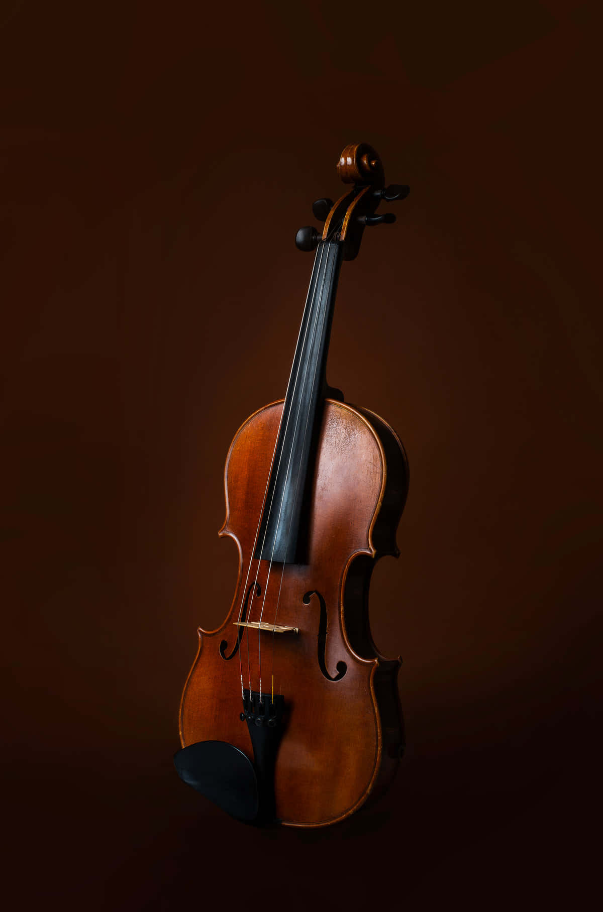 Immaginedi Ritratto Di Un Violino Marrone In Legno.