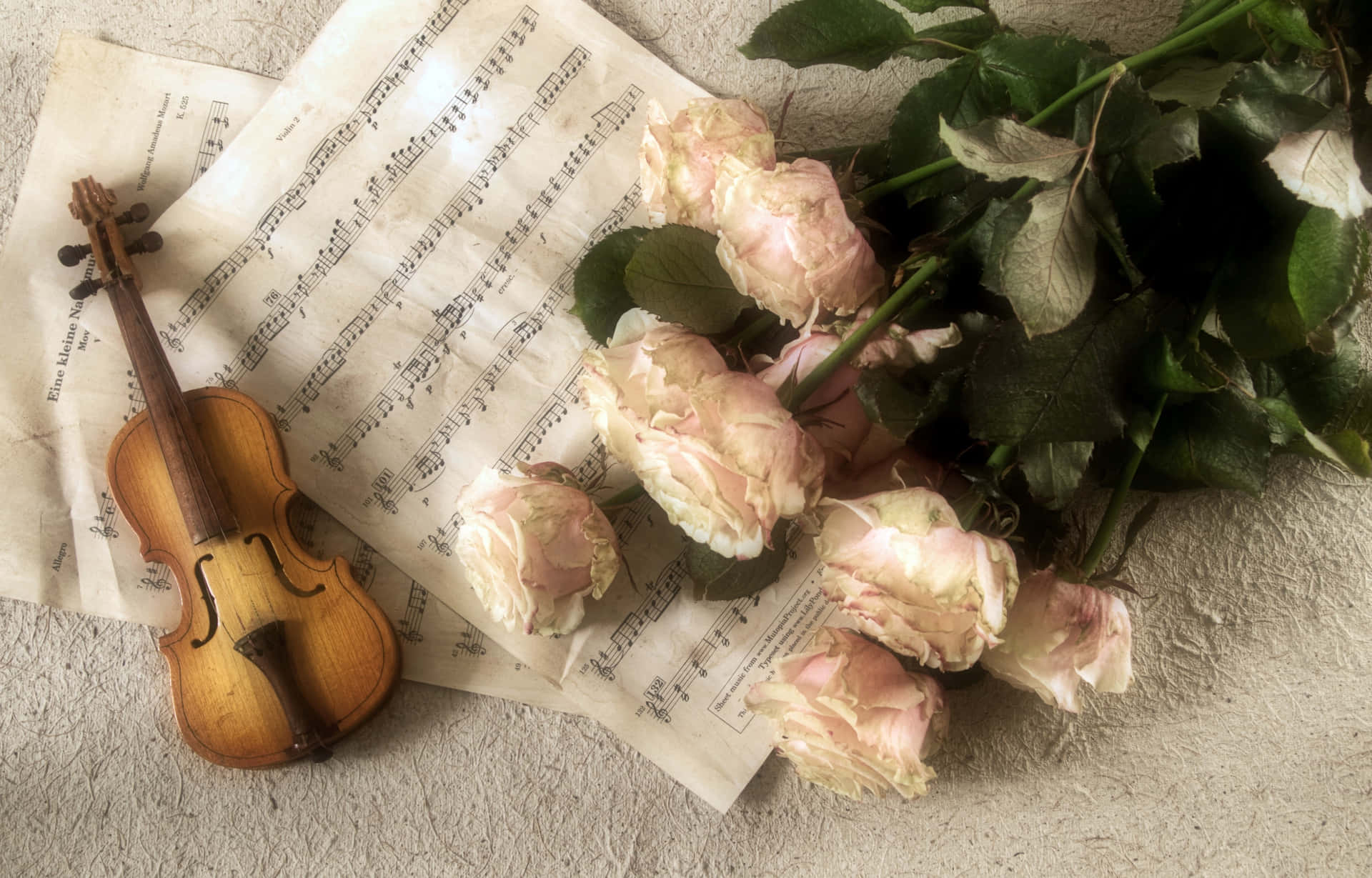 Immaginedi Un Piccolo Violino Con Delle Rose.