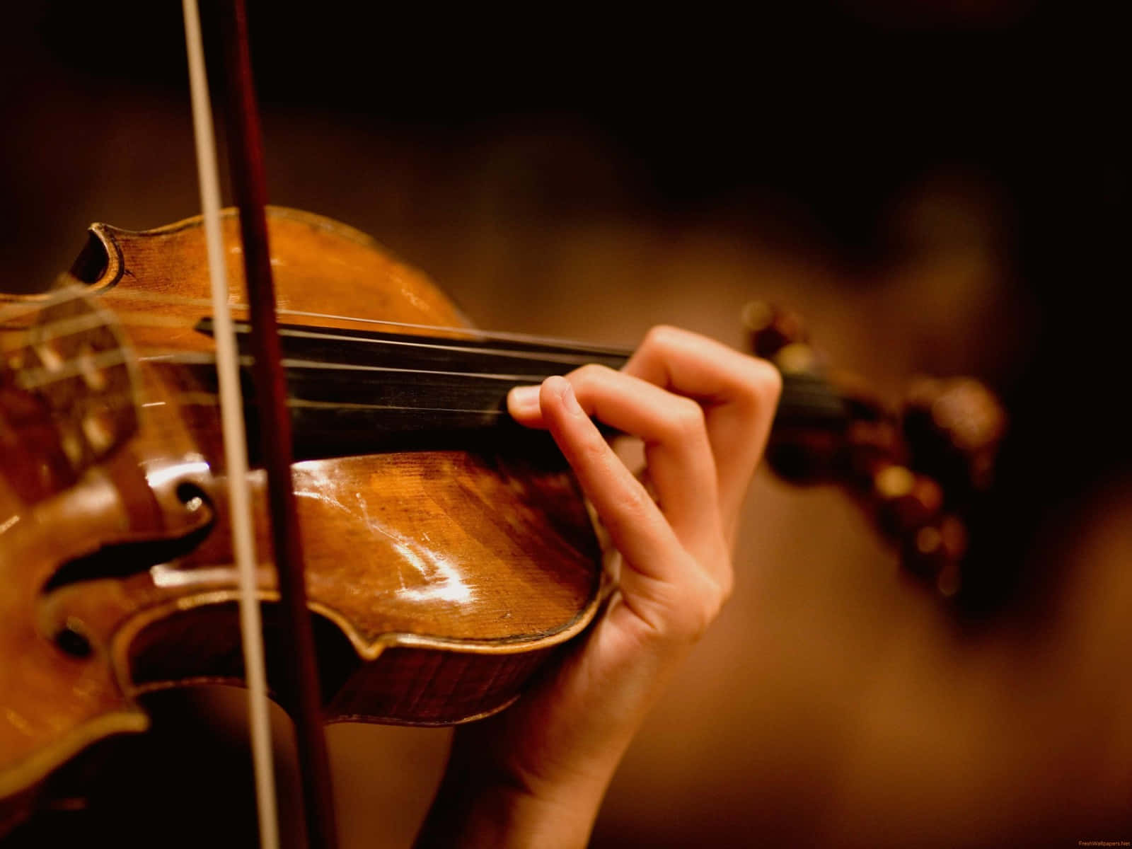 Hand Playing Violin Bokeh Picture