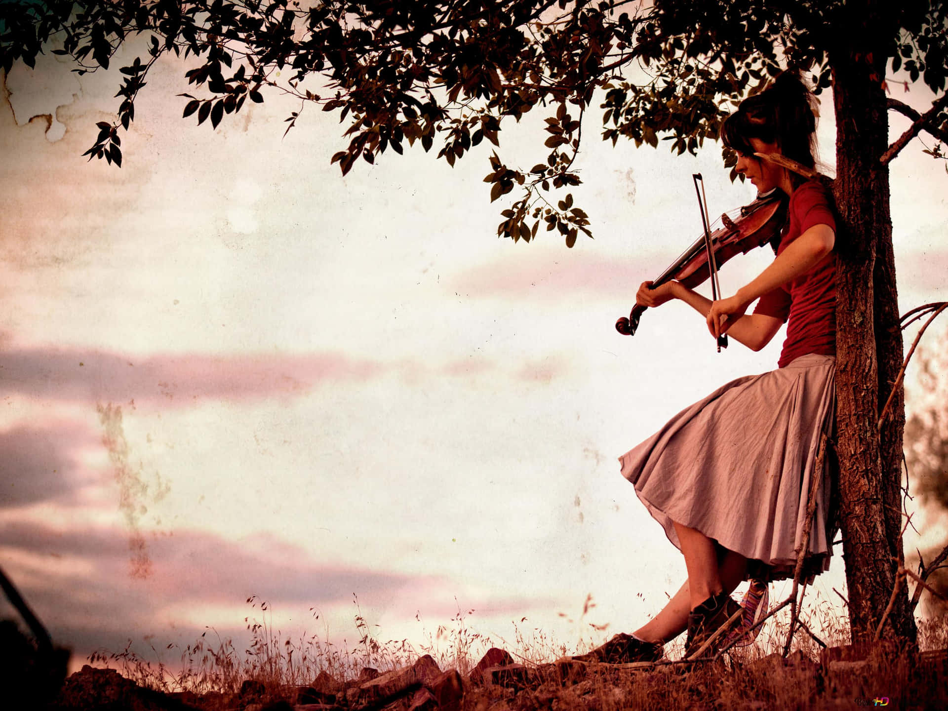Mädchen,das Geige Auf Baum Spielt Bild