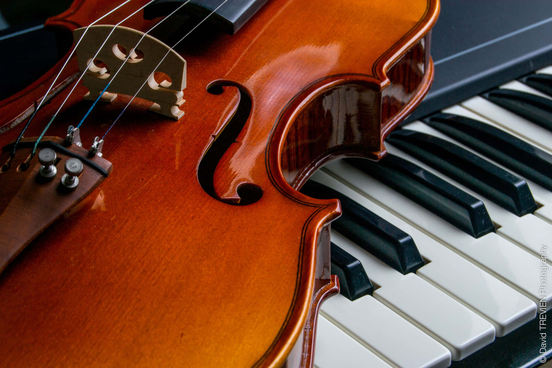 Violin And Piano Keyboard Picture