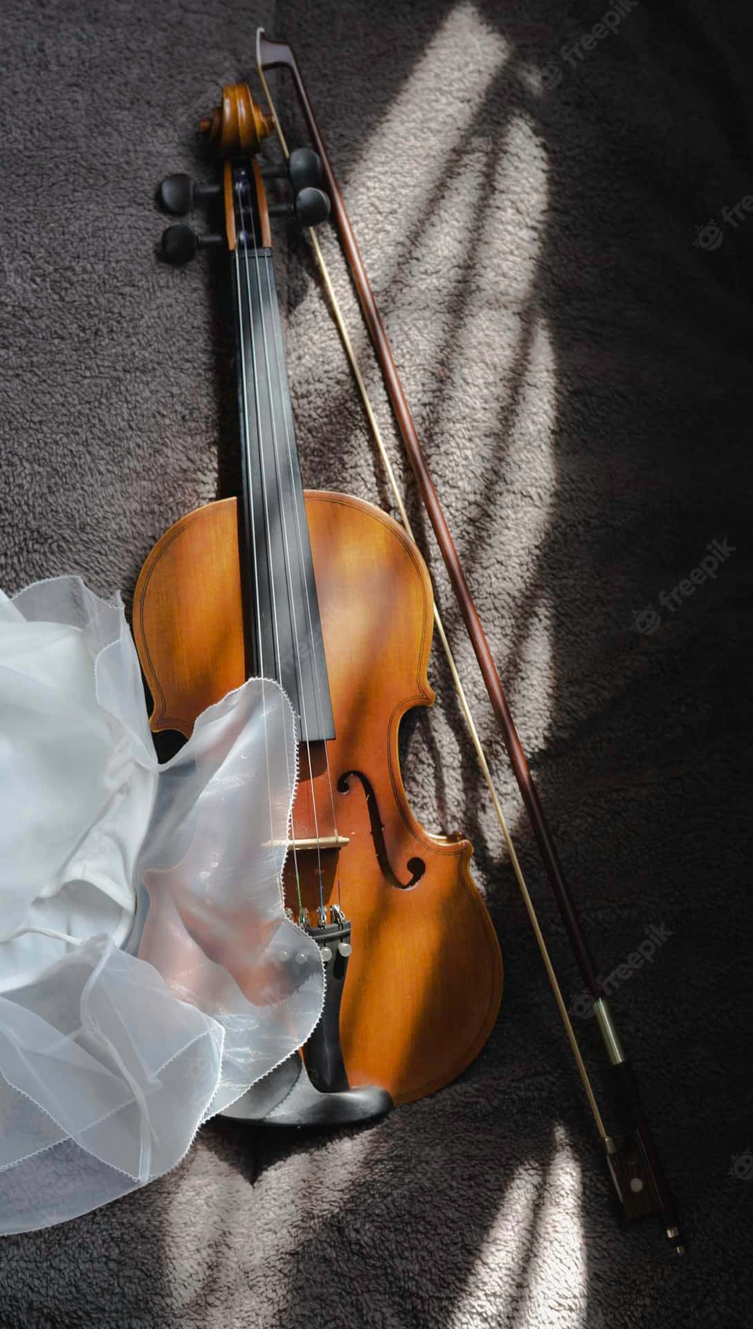 Violin And Bow On Carpet Picture