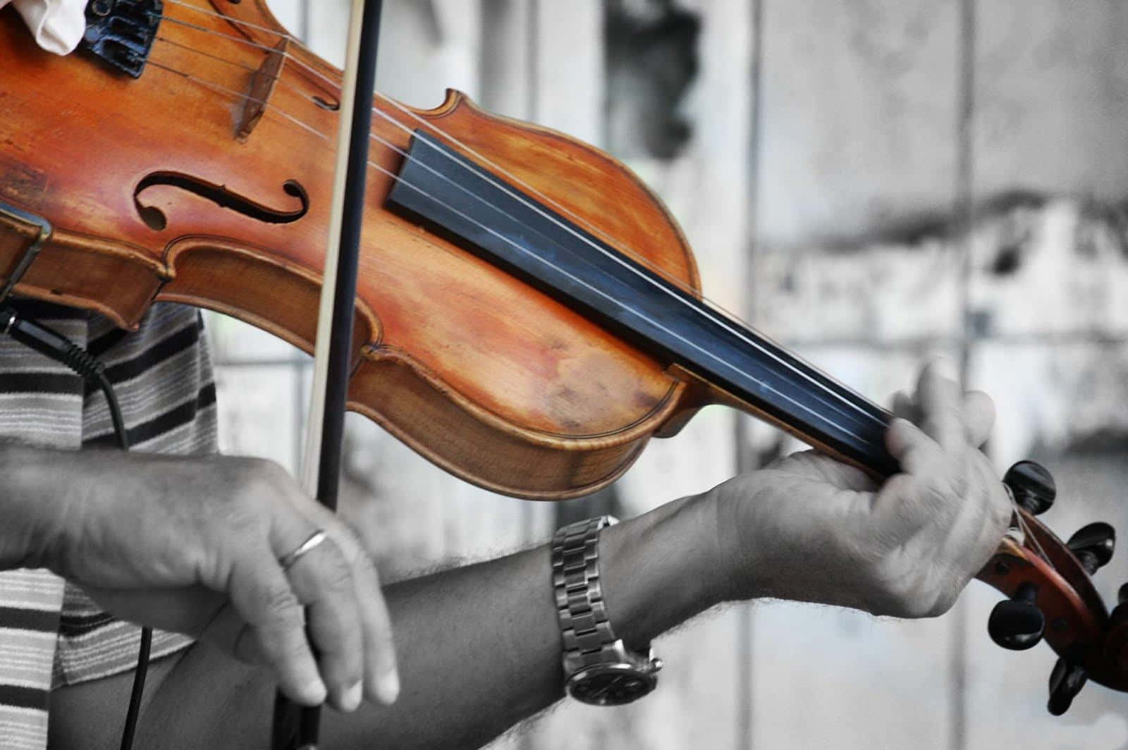 A closeup of a beautiful wooden violin Wallpaper