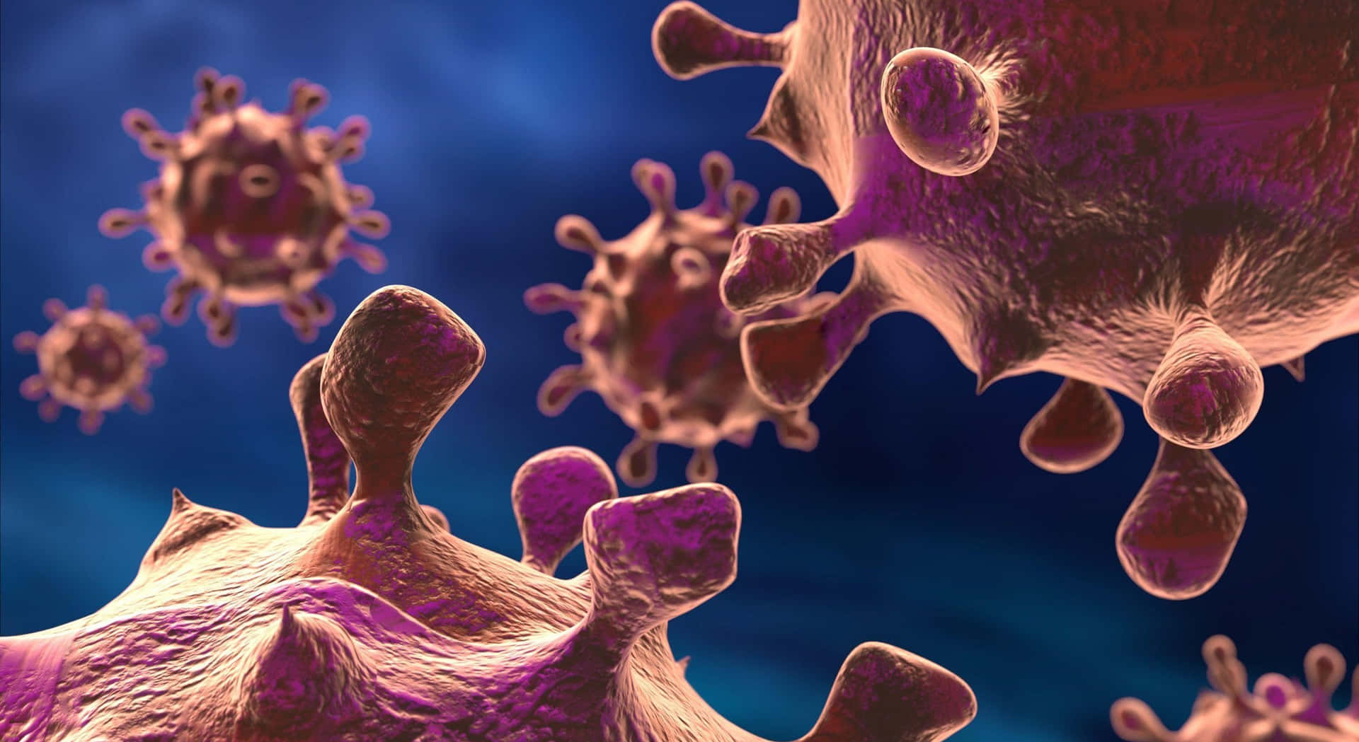 Viral Infection Closeup Visualization Wallpaper