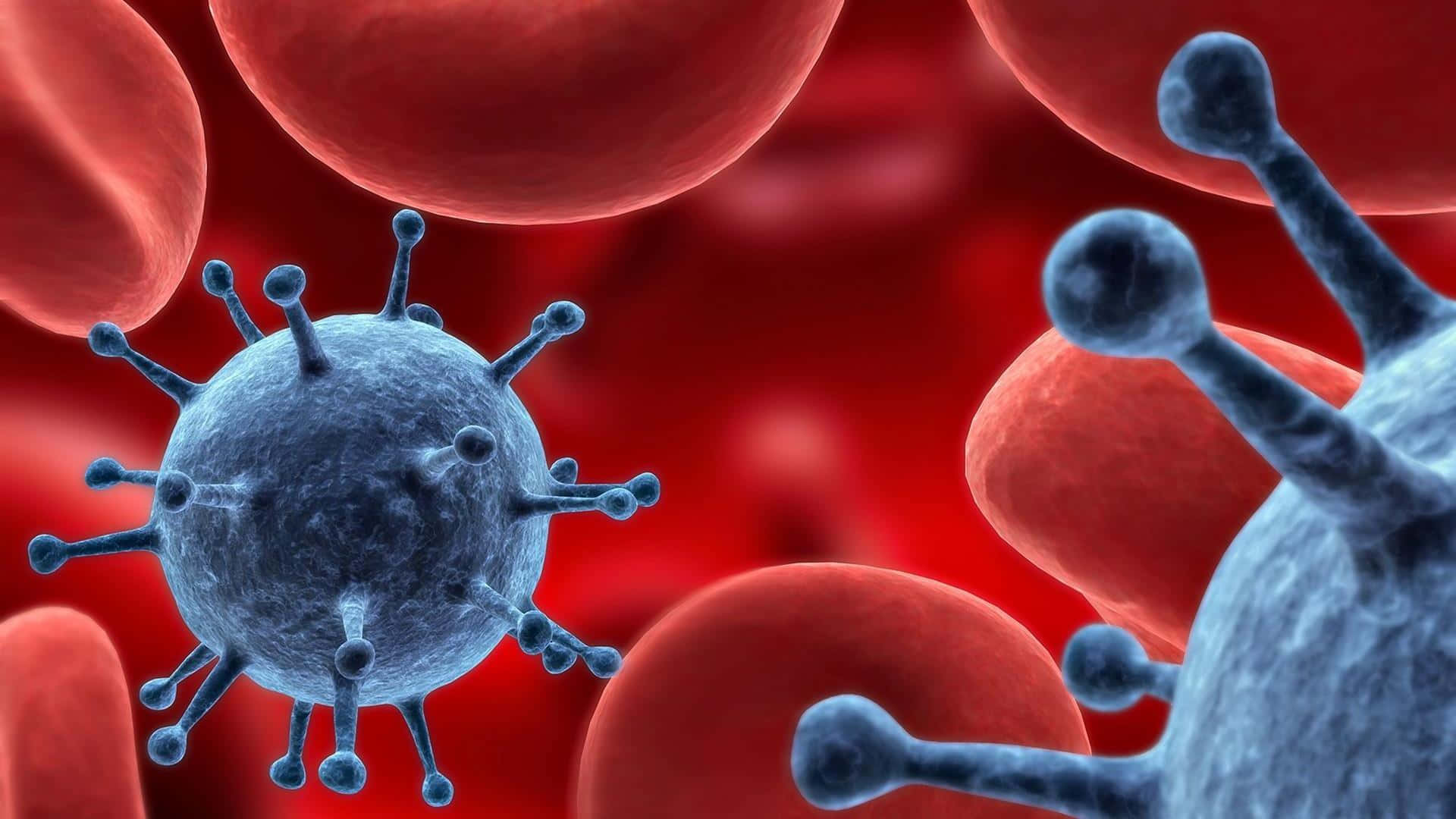 Viral Invasion Red Blood Cells Wallpaper