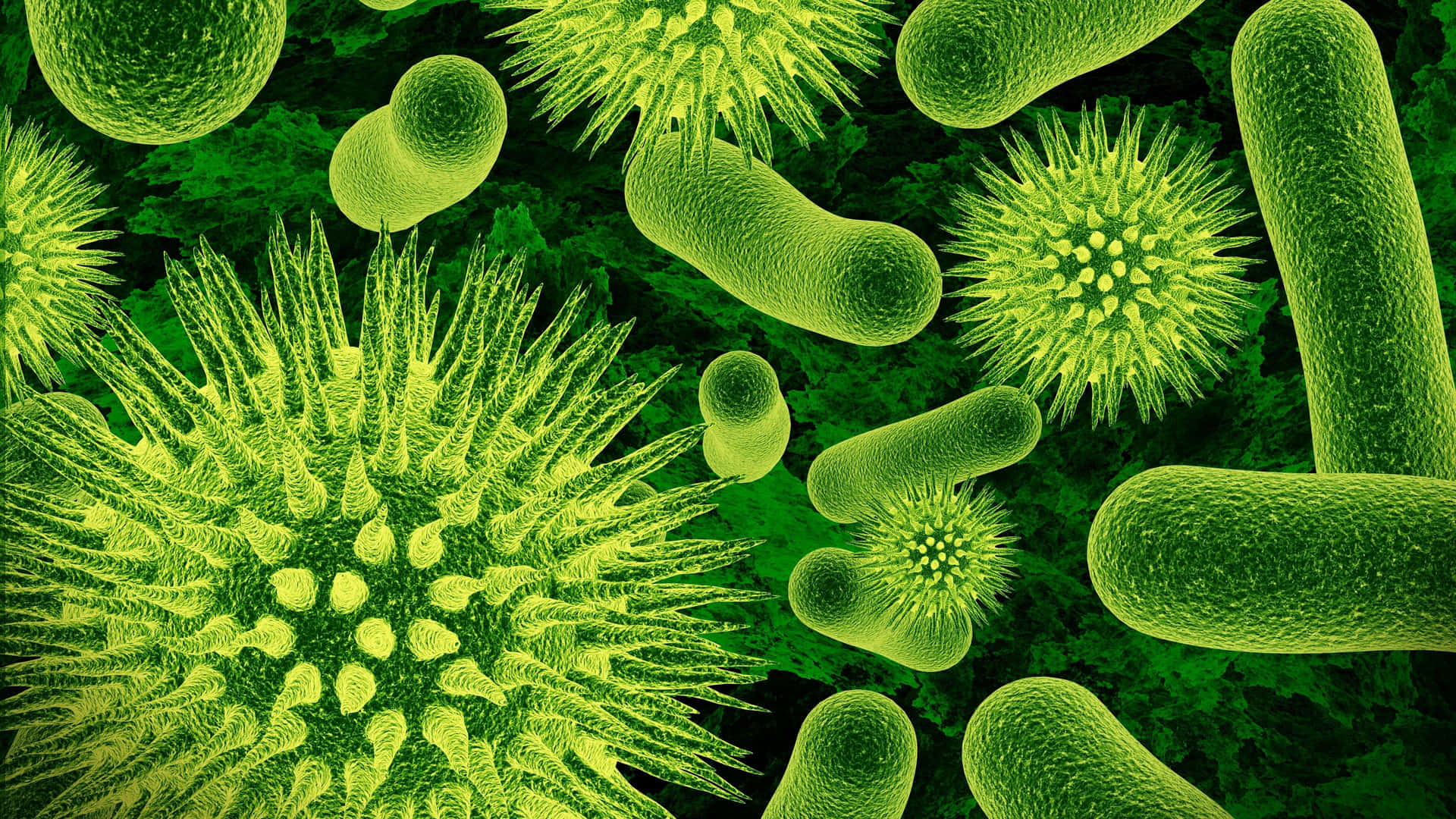 Viraland Bacterial Microscopic View Wallpaper