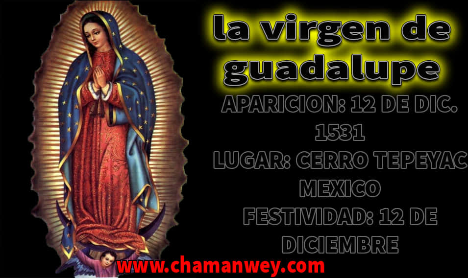 Virgen De Guadalupe Apparition Information PNG