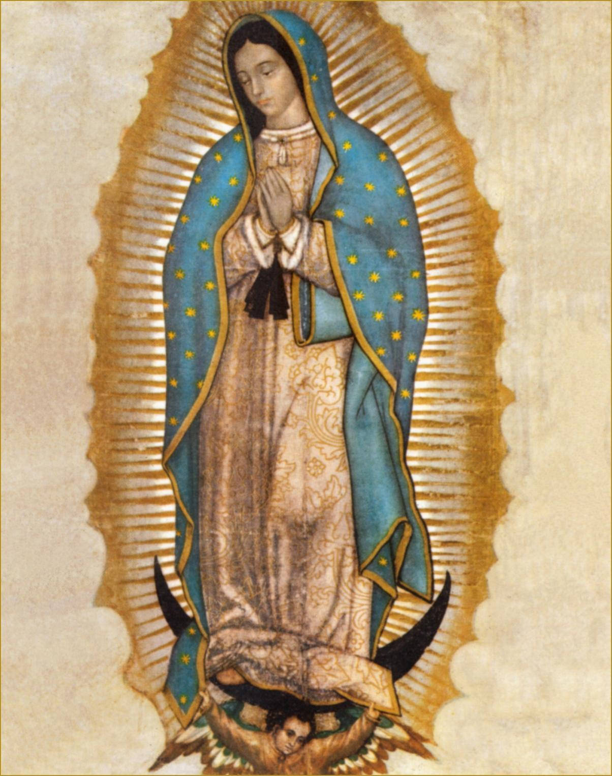Virgen De Guadalupe Brown Wallpaper
