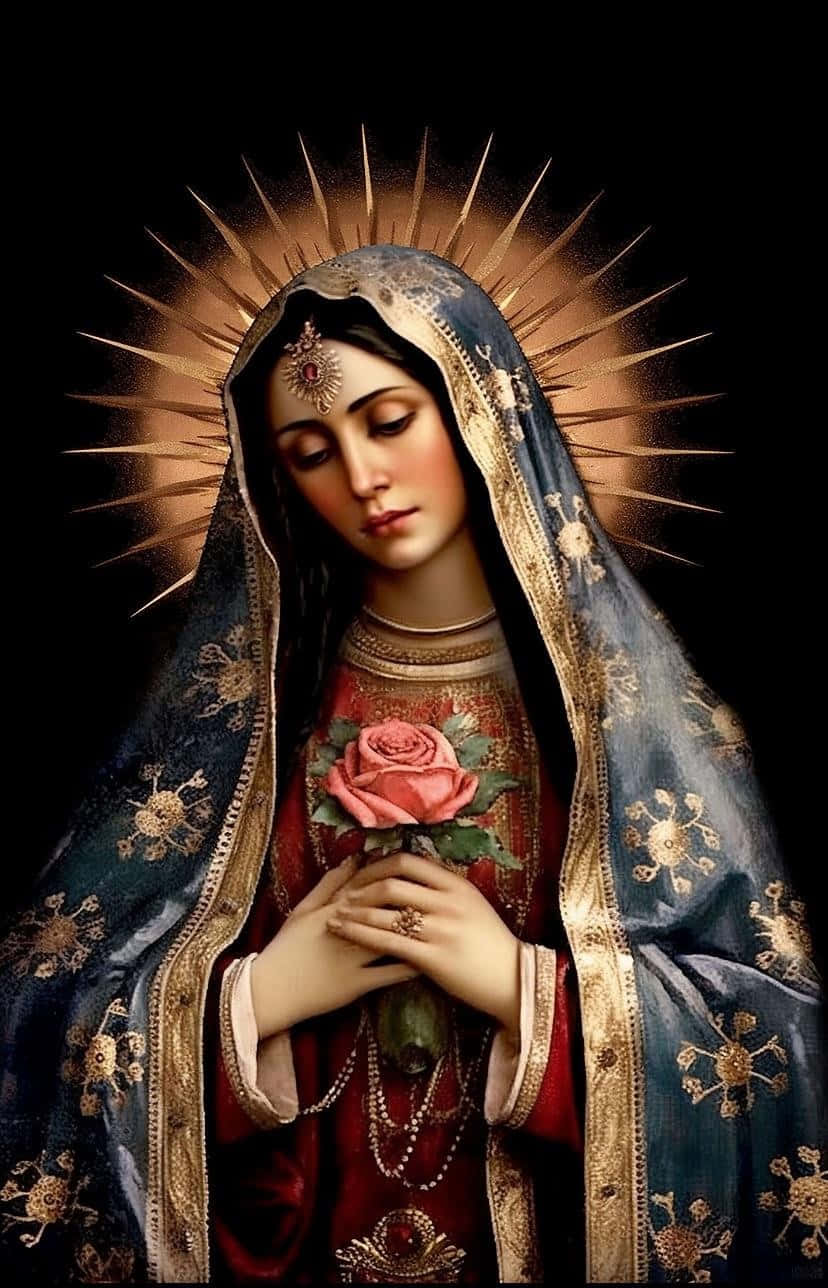 Virgin Mary Guadalupe Rose Halo Wallpaper