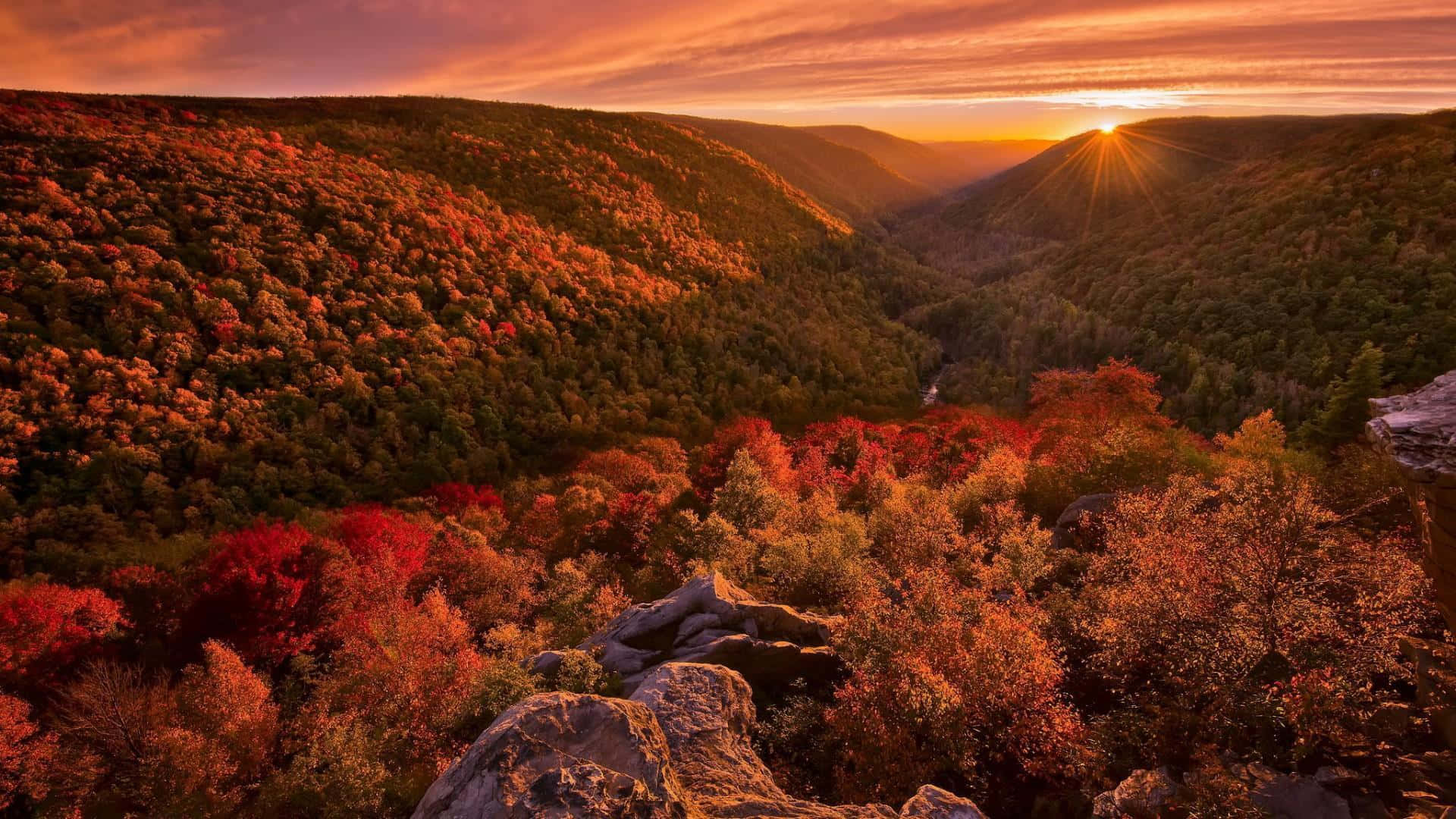 A Sunset Over A Valley With Colorful Trees
