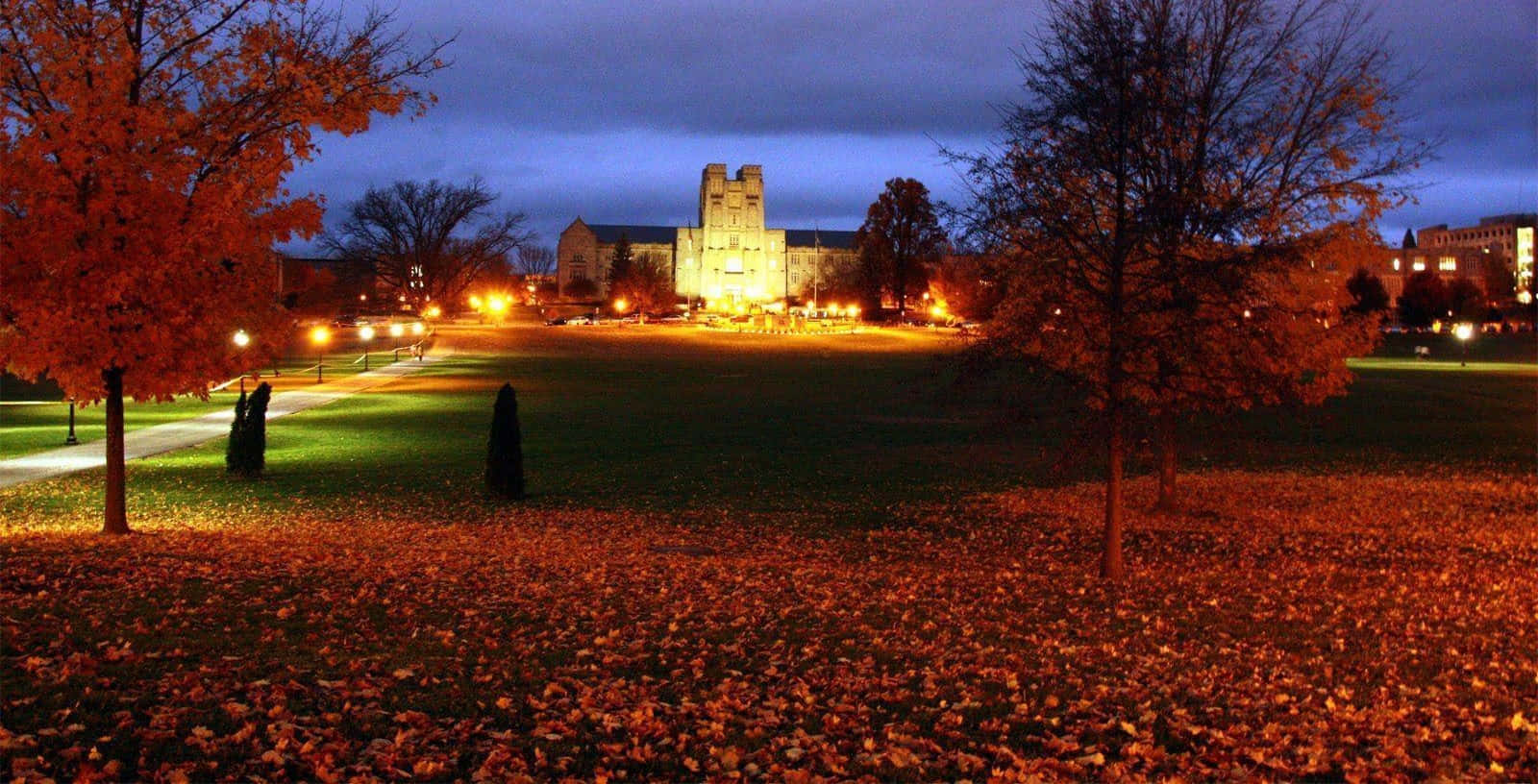 A Campus At Night With Trees And Leaves