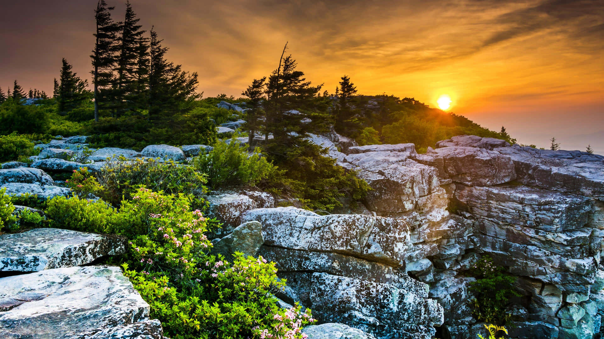 A Rocky Cliff With Trees And Flowers