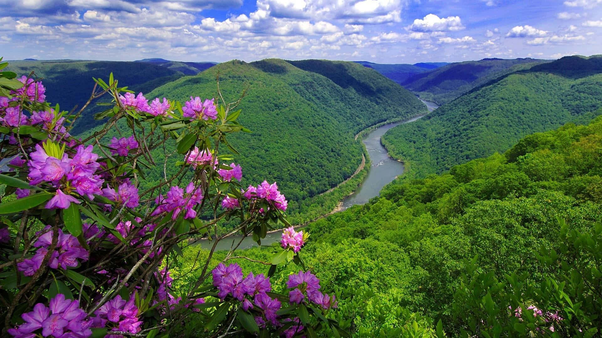 Denskønne Natur I Virginia.