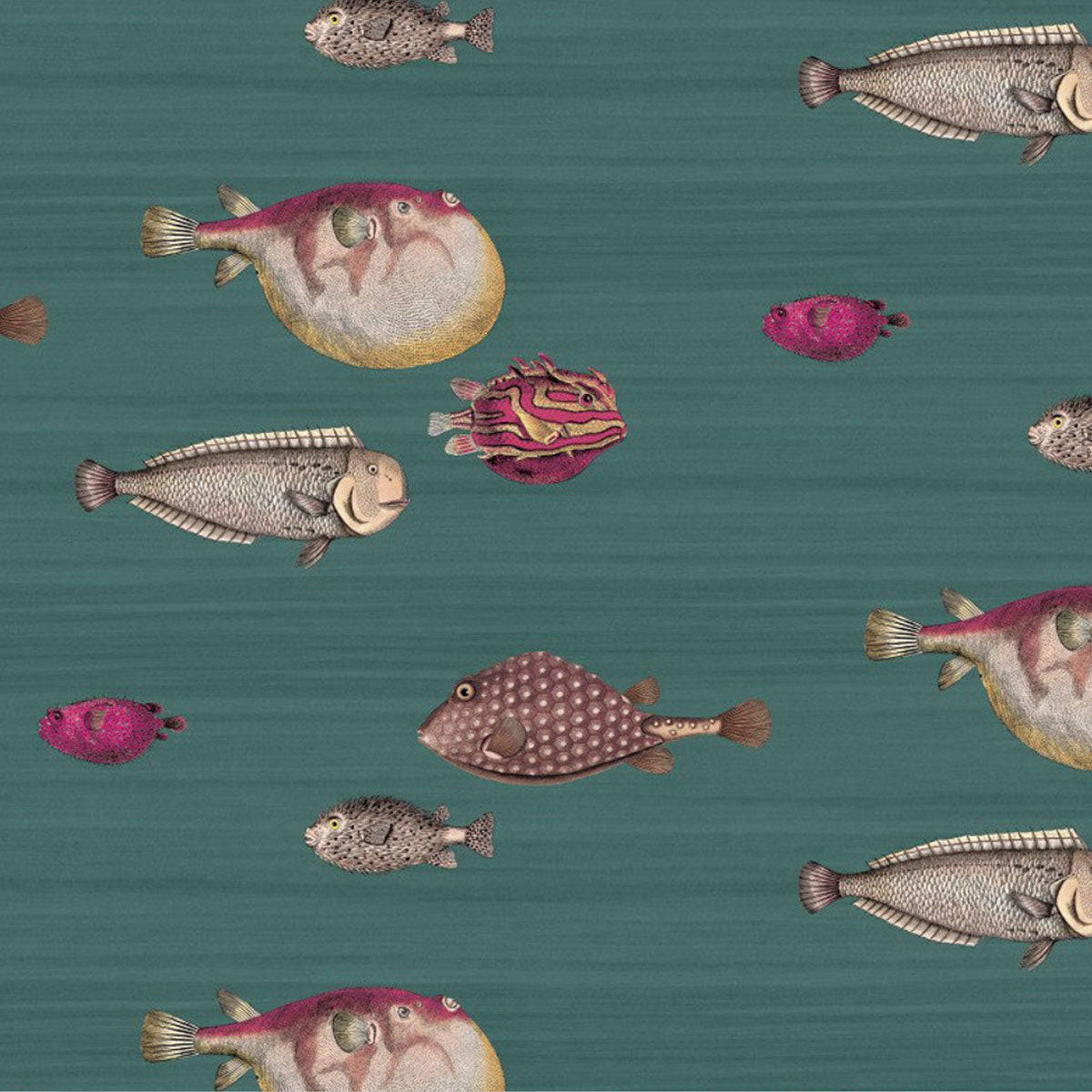 A Wallpaper With Fish On It Wallpaper