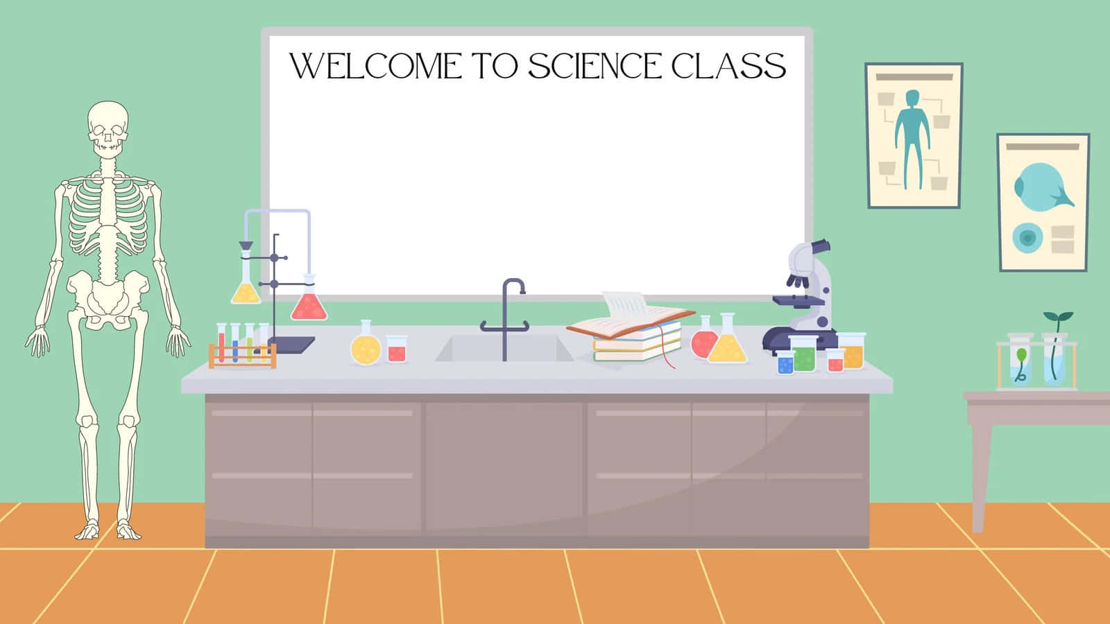 A Science Class With A Skeleton And A Lab