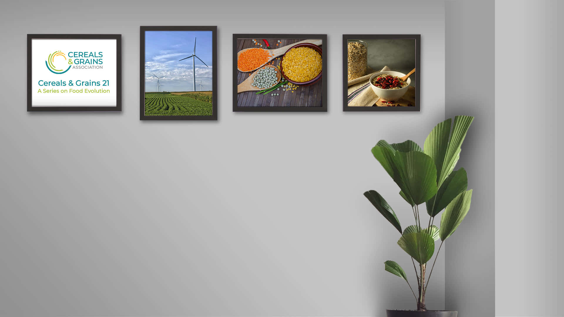 A Room With Framed Pictures Of Food And A Plant