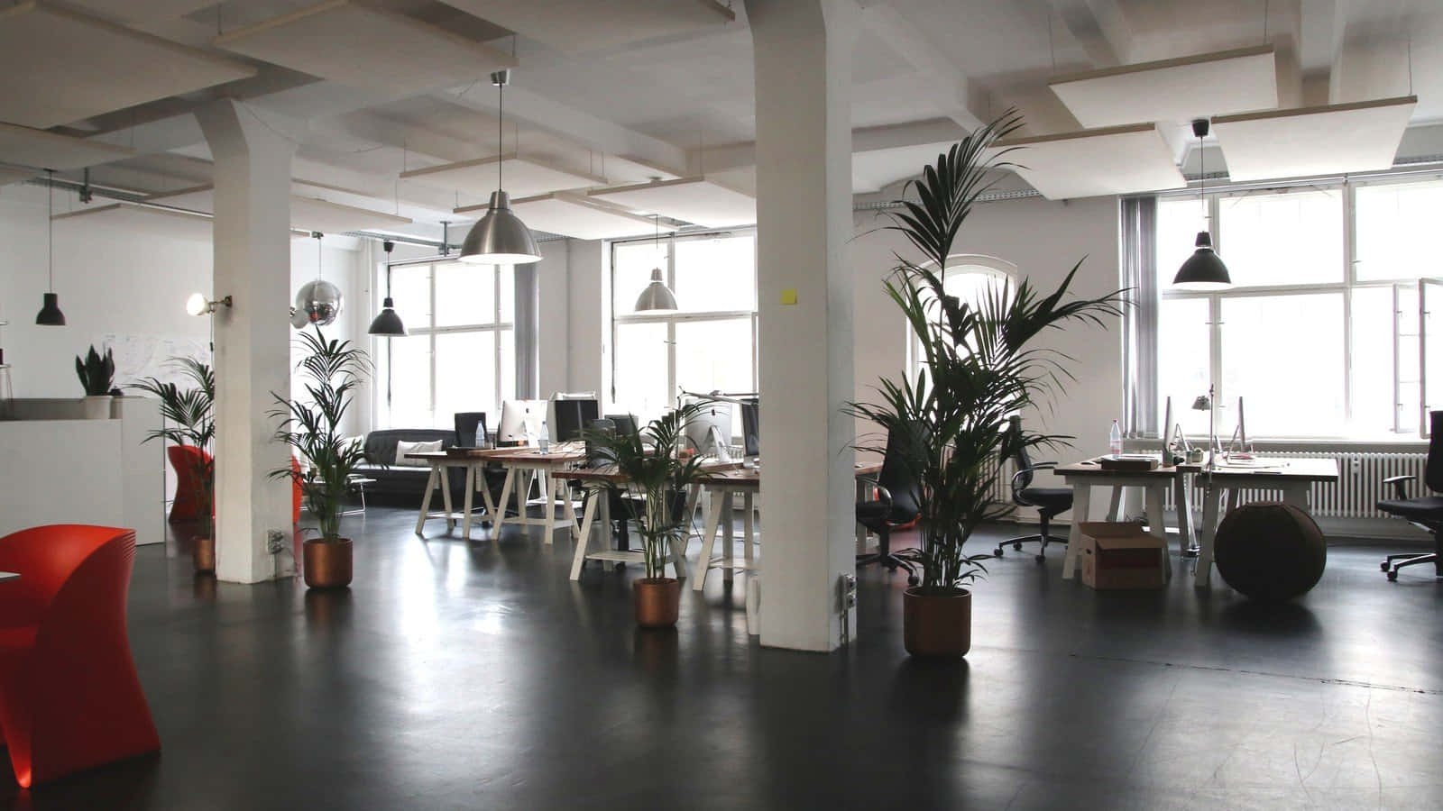 A Large Open Office With Many Plants And Desks