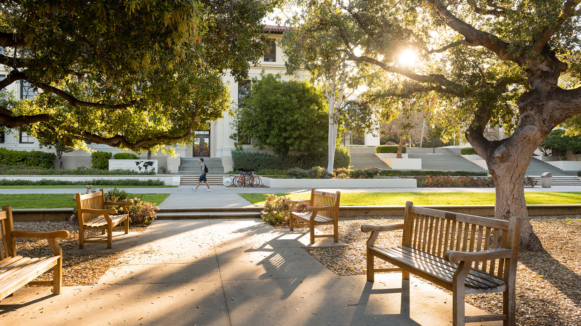 Occidental College Virtual Zoom Background