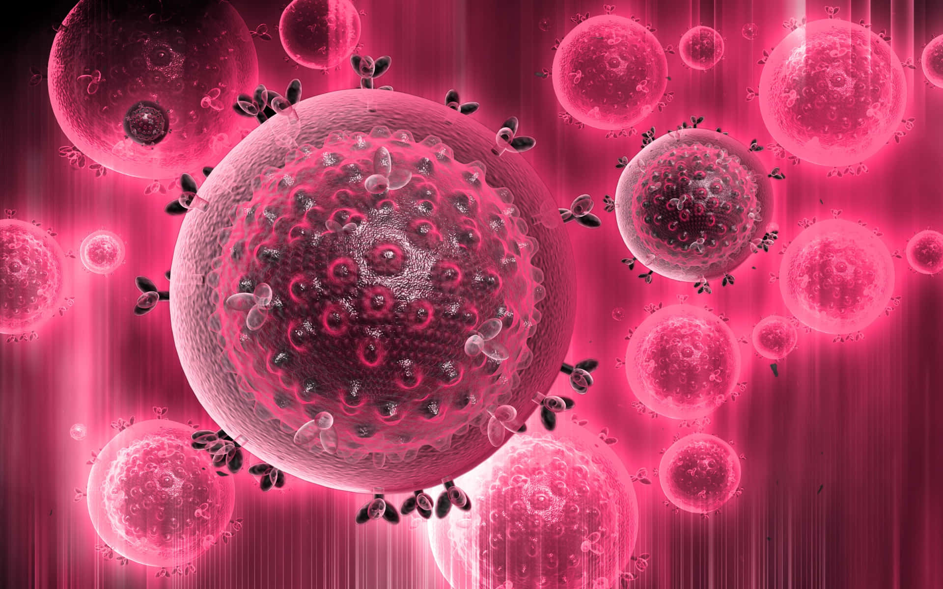 Virulent Virus In Pink Wallpaper