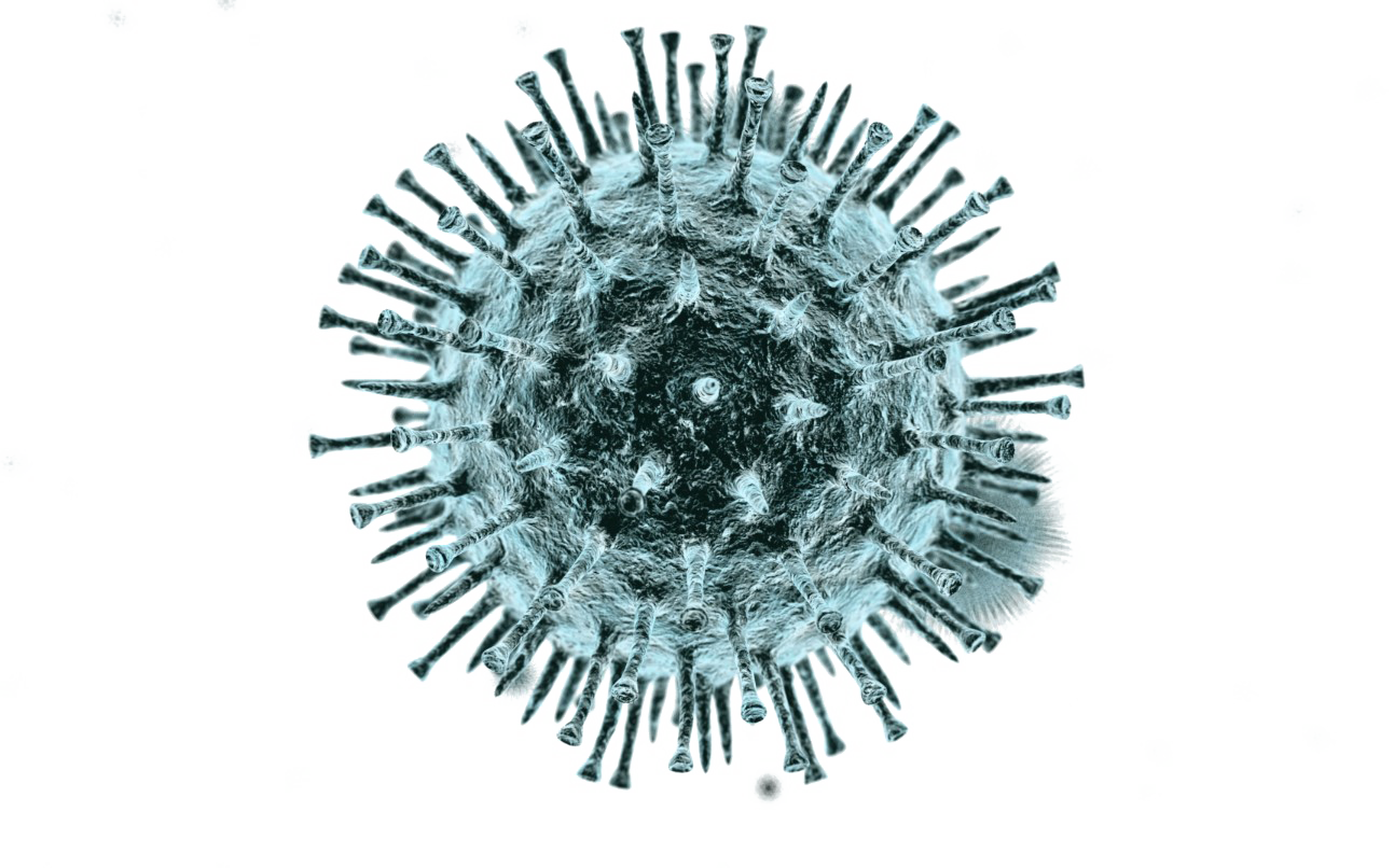 Virus Particle Illustration PNG