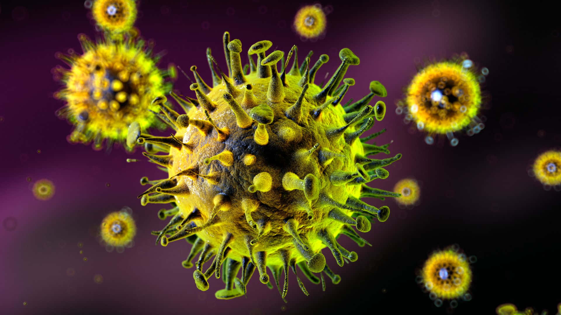 Virus Particles Close Up Visualization Wallpaper
