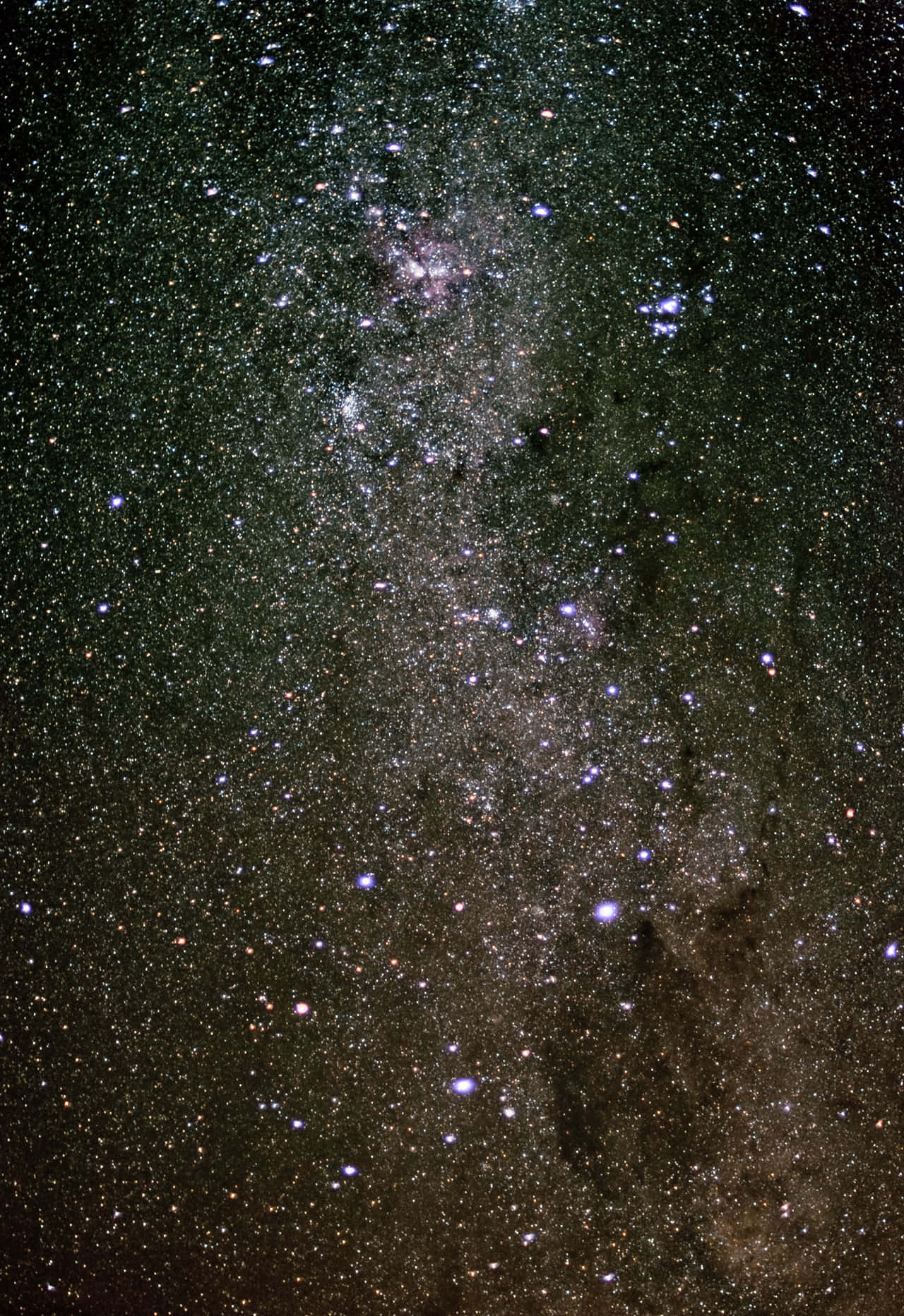 Visible Star Canopy Wallpaper