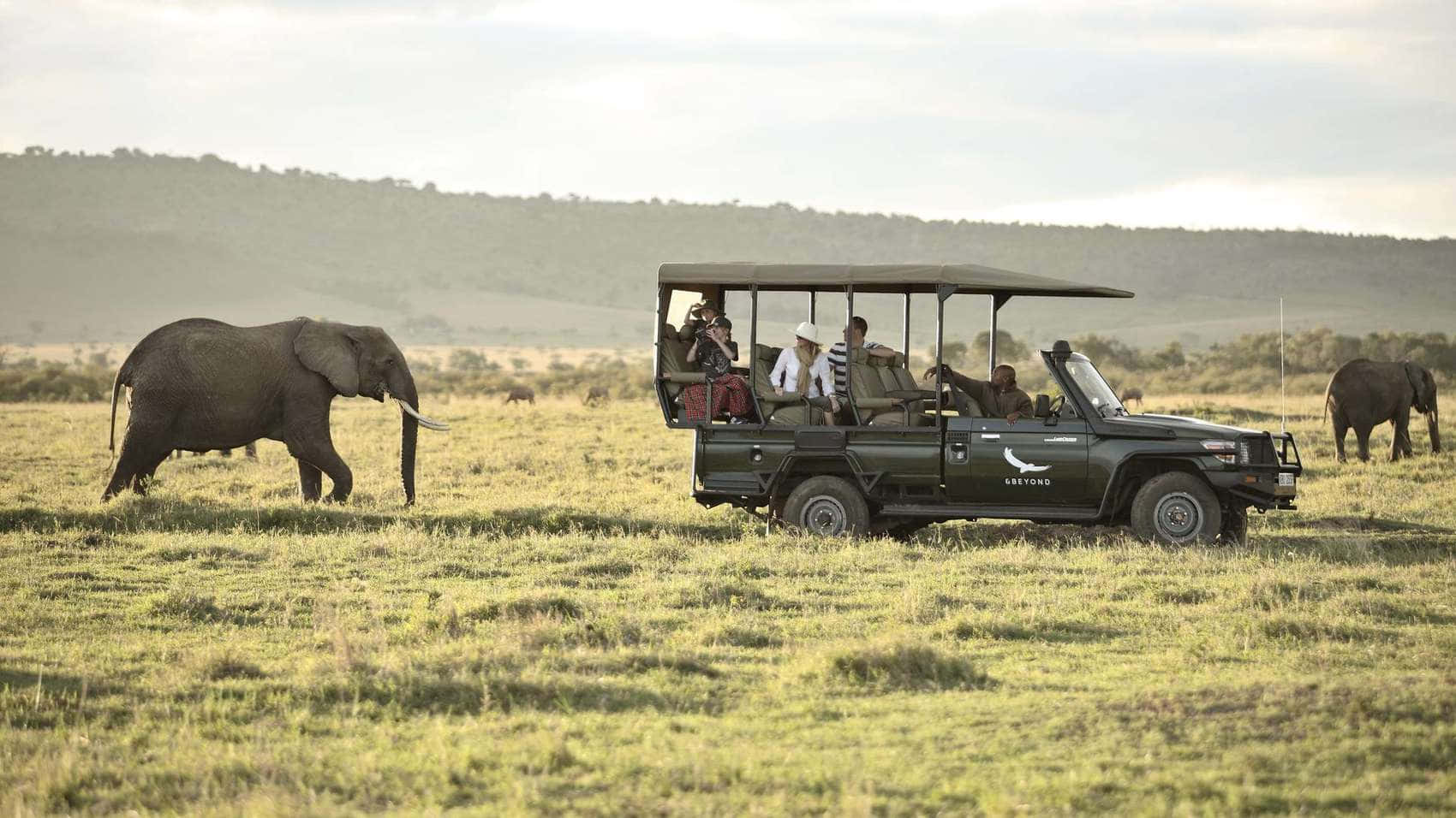 Visitors In Masai Mara National Reserve Wallpaper