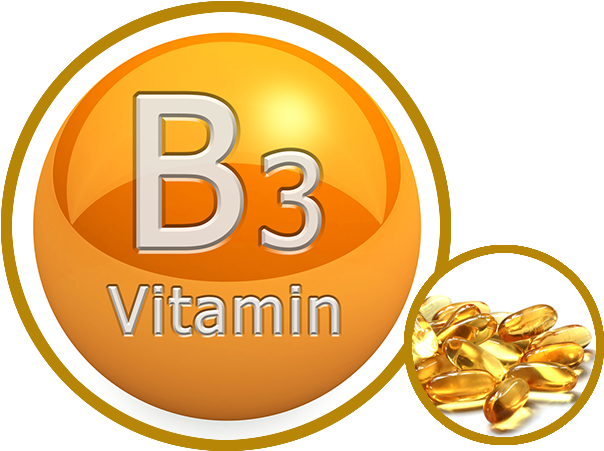 Vitamin B3 Supplement Graphic PNG
