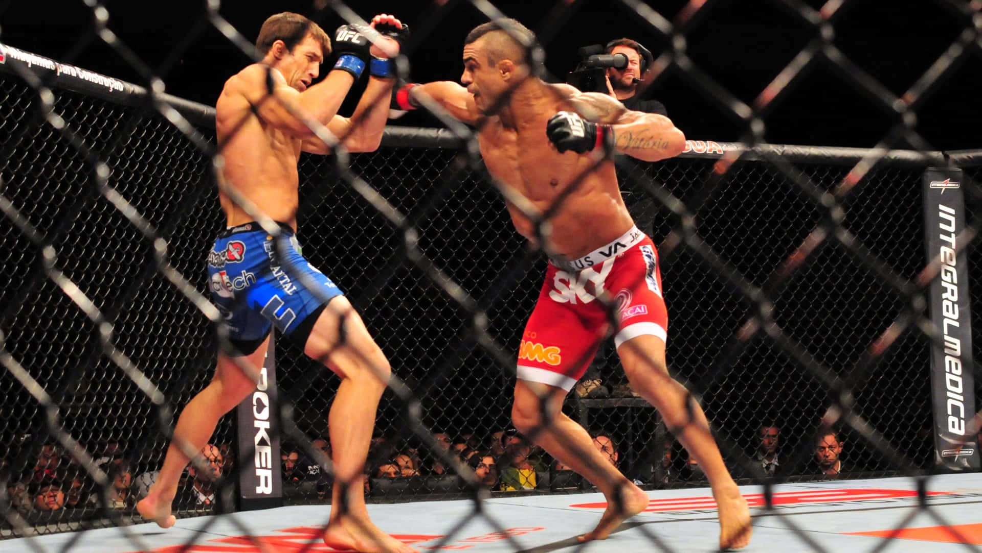 Vitor Belfort Versus Luke Rockhold UFC On FX Wallpaper