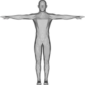 Vitruvian Man3 D Model PNG