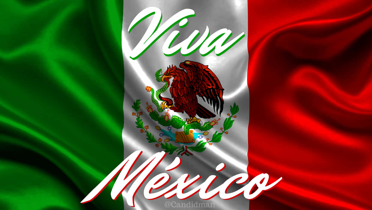 Enmexikansk Flagga Med Orden Viva Mexico. Wallpaper