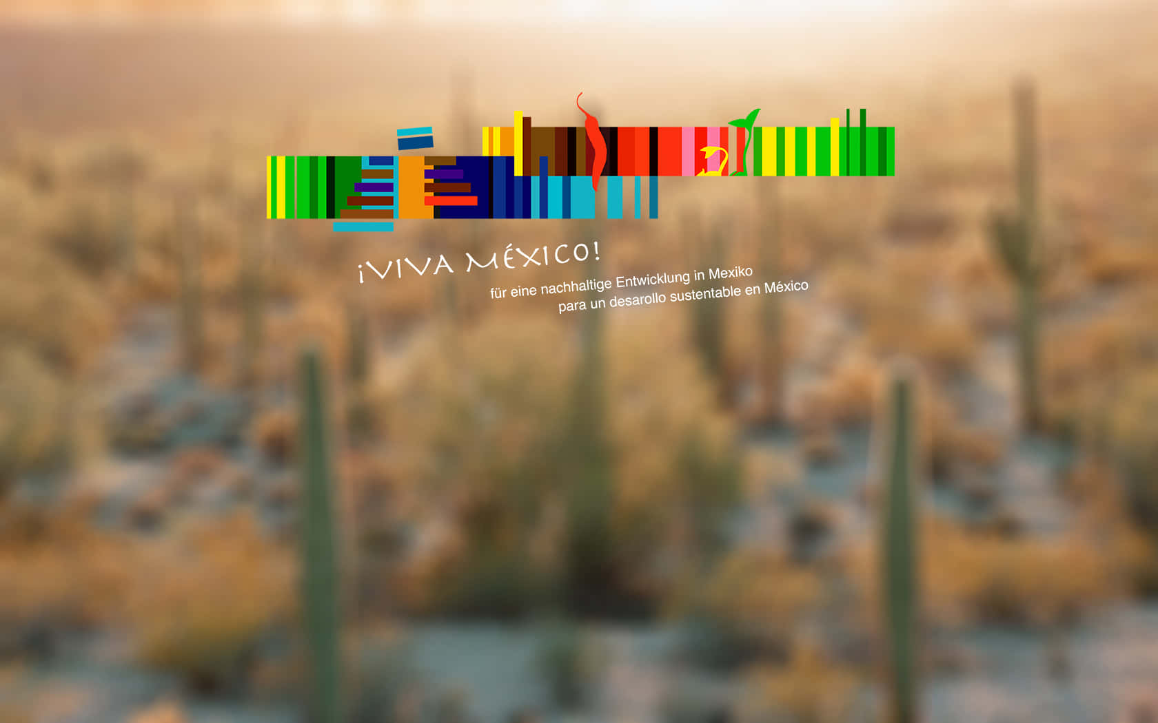 Unfondo Colorido Con Cactus Y Un Letrero Fondo de pantalla