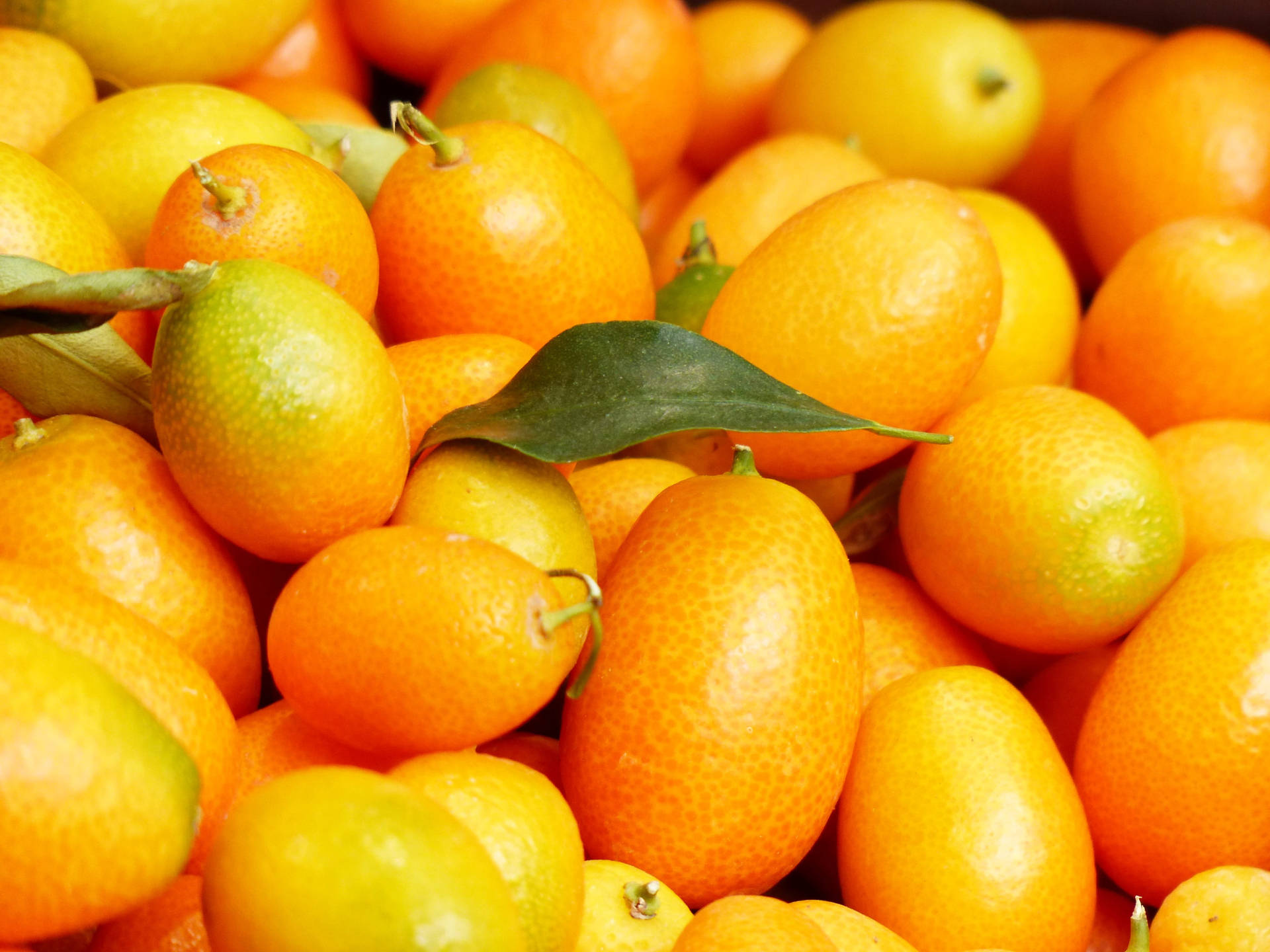 Lebendigeaufnahme Von Kumquat-früchten Aus Nächster Nähe. Wallpaper