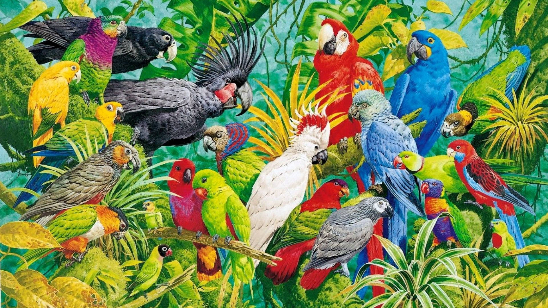 Vivid Painting Of Parrots Wallpaper