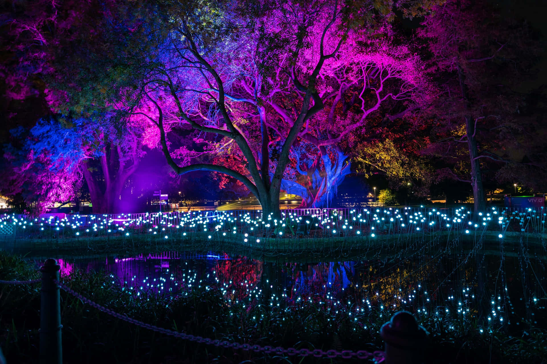 Vivid Sydney Lights Royal Botanic Garden Wallpaper