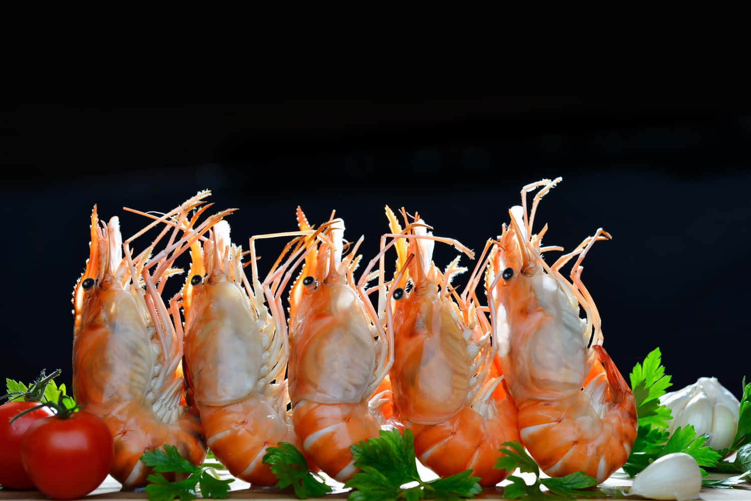 Vividly Captured Shrimp In The Deep Blue Sea Wallpaper